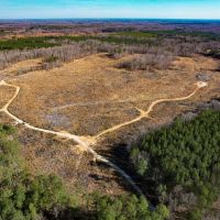 114 acres of Hunting and Timberland For Sale in Prince George County VA images 3