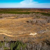 114 acres of Hunting and Timberland For Sale in Prince George County VA images 5