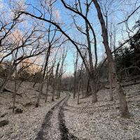 64.78 Acres - with Cabin Knox County Nebraska images 2