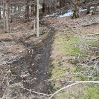 64.78 Acres - with Cabin Knox County Nebraska images 3