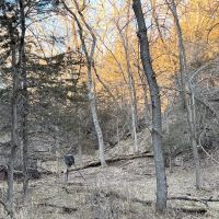 64.78 Acres - with Cabin Knox County Nebraska images 5