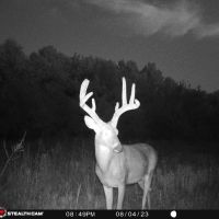 38 E 1090 Road Checotah OK 74426 images 3