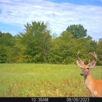 38 E 1090 Road Checotah OK 74426 images 5