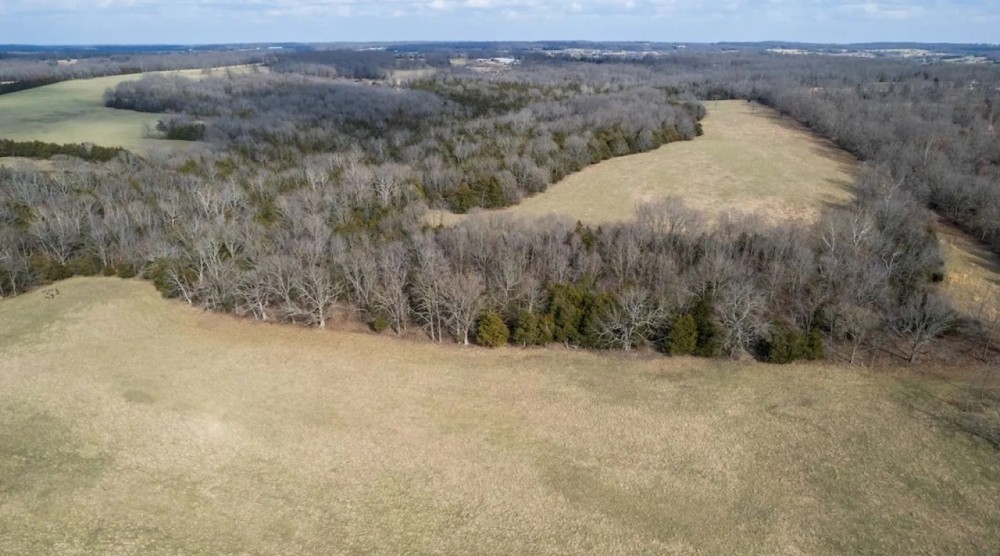 Combination Timber And Open Hunting Farm For Sale featured image