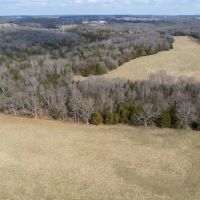 Combination Timber And Open Hunting Farm For Sale