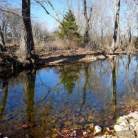 Combination Timber And Open Hunting Farm For Sale images 4