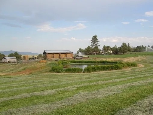 Stoney Ridge Ranch featured image