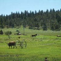 Stoney Ridge Ranch images 4
