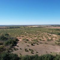 New Listing 25 - Acres Taylor County Tract 1 images 2