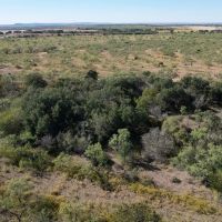 New Listing 25 - Acres Taylor County Tract 1 images 4