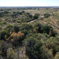 New Listing 25 - Acres Taylor County Tract 1 images 5