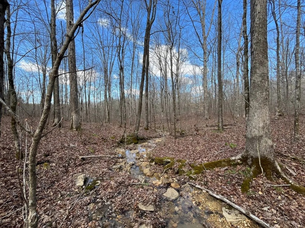 Greenhill Road 38 featured image