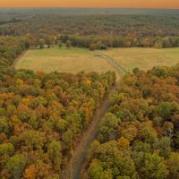 Custom Turn-Key Log Home On Secluded Beautiful Rolling Ozark Timberland Providing Great Hunting images 2