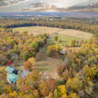 Custom Turn-Key Log Home On Secluded Beautiful Rolling Ozark Timberland Providing Great Hunting images 4