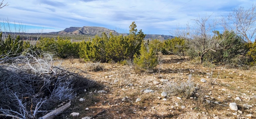Hunting land for Sale in Robert Lee Texas featured image