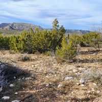 Hunting land for Sale in Robert Lee Texas images 1