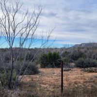 Hunting land for Sale in Robert Lee Texas images 3