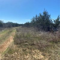 Price Improvement 28.45 - Acres Eastland County images 5
