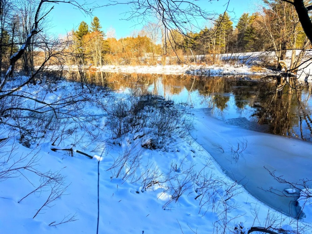 20 acre Riverfront Land with Cabins Pitcairn NY featured image
