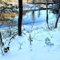 20 acre Riverfront Land with Cabins Pitcairn NY images 2