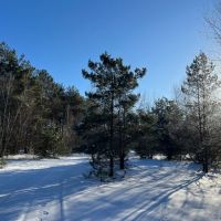 20 acre Riverfront Land with Cabins Pitcairn NY images 3