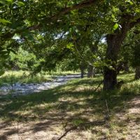 The Last Dollar Ranch images 5
