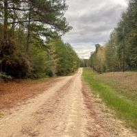 13 Acres 425 Piney Creek Subdivision