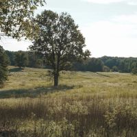 Parish Line East 20 images 5