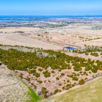 Collin County 29.95 Acres images 5