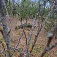 10 - acres May Creek Ranchette Brown County images 2