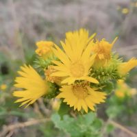 10 - acres May Creek Ranchette Brown County images 4