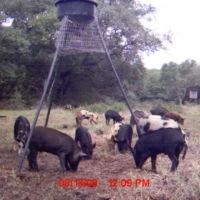 194 acres in Matagorda County Texas