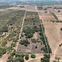 East Bexar Hideaway images 2