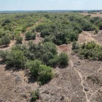 East Bexar Hideaway images 4