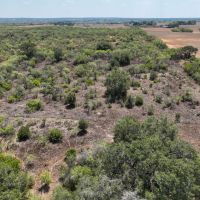East Bexar Hideaway images 5