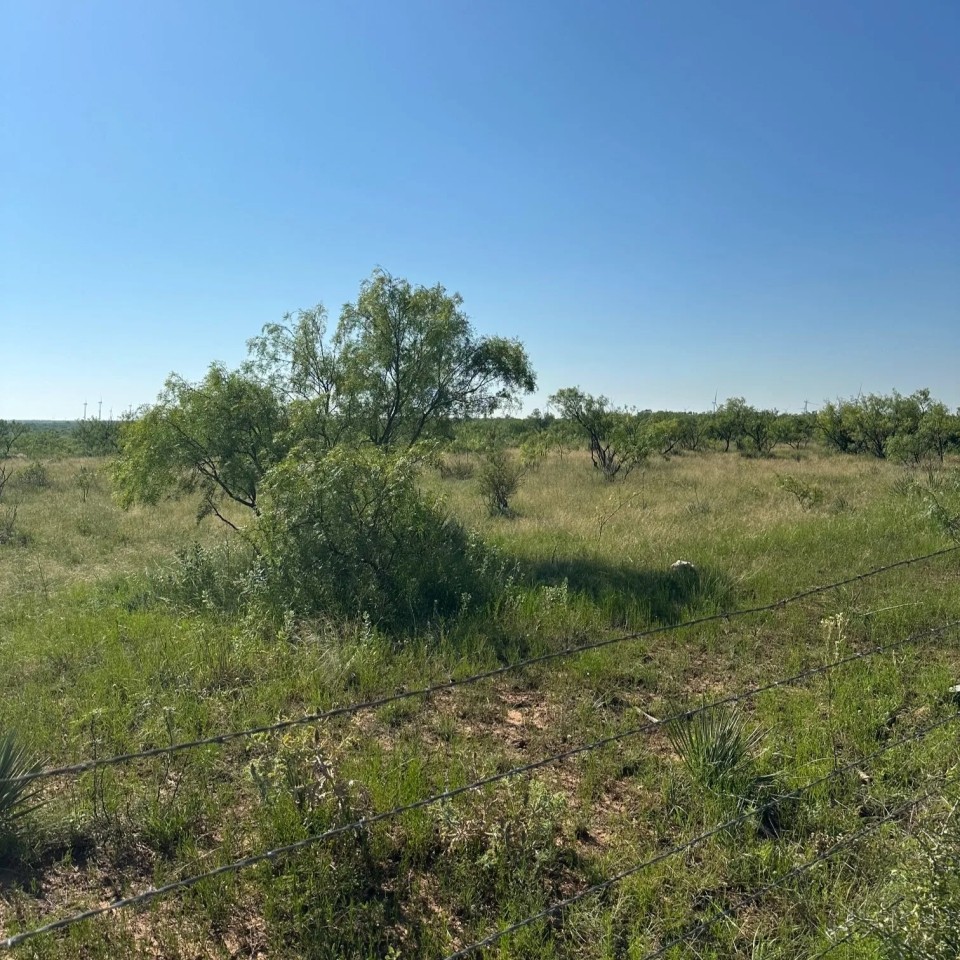 New Listing 10.5 Acres Tract 12 Shackelford County featured image