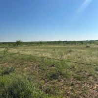 New Listing 10.5 Acres Tract 12 Shackelford County images 3