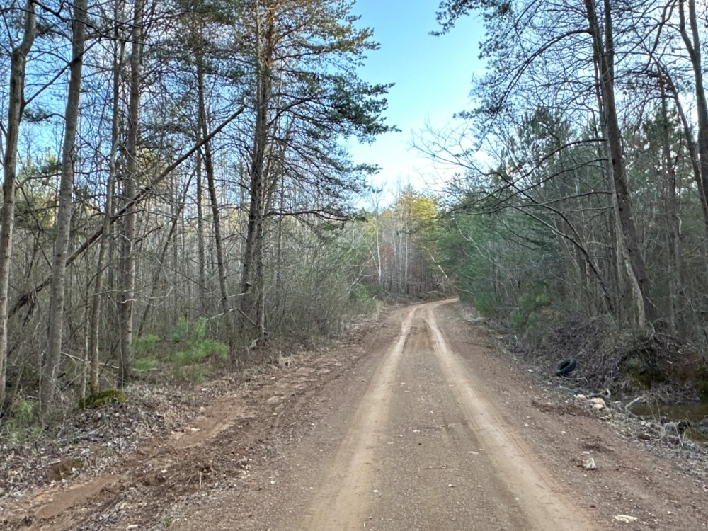 Fire Mountain Road featured image