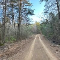 Fire Mountain Road