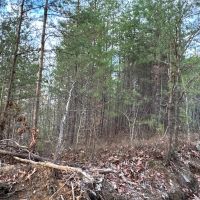 Fire Mountain Road images 3