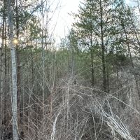 Fire Mountain Road images 5