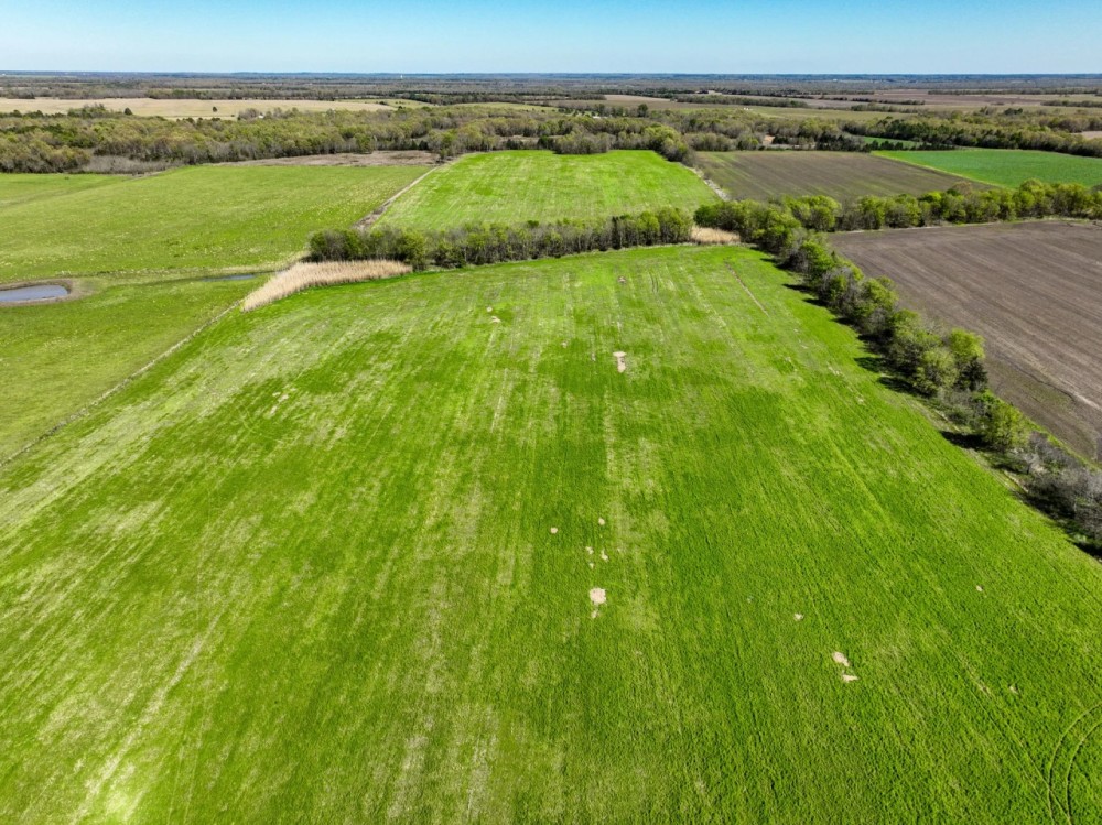 101 Acre Hay Meadow featured image
