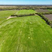 101 Acre Hay Meadow