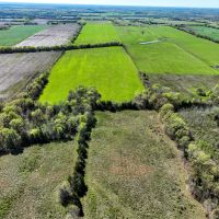 101 Acre Hay Meadow images 5