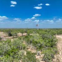 Duval 432 Acres images 5