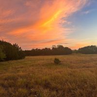 Build Your Dream Home in Gatesville 55 Acres of Tranquil Land Close to Waco Austin and Dallas images 5