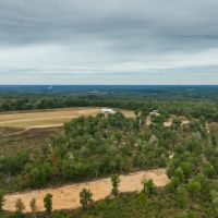 Sweet Oaks Plantation 130 - Ac
