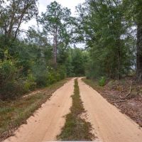 Sweet Oaks Plantation 130 - Ac images 2