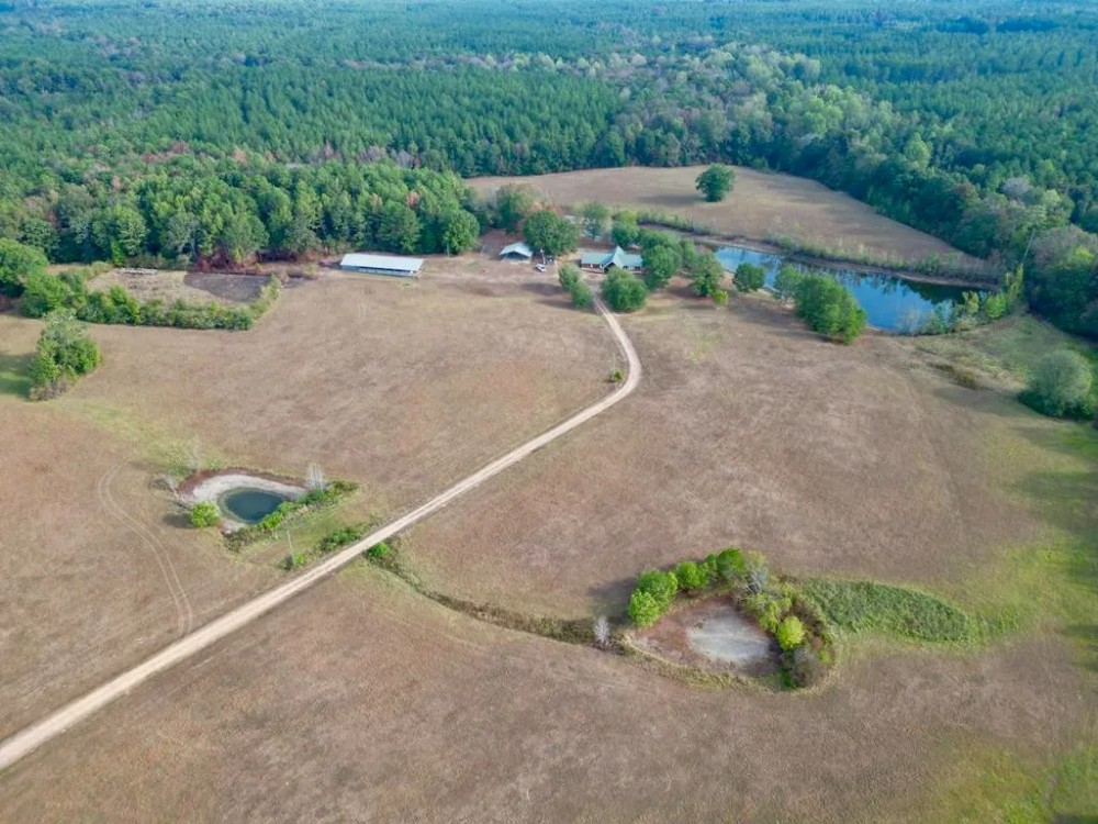 H H Ranch Amite County MS - 54 Acres and Cabin for Sale featured image