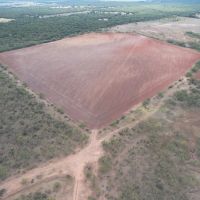 30 - Acres Jones County Tract 10 images 3